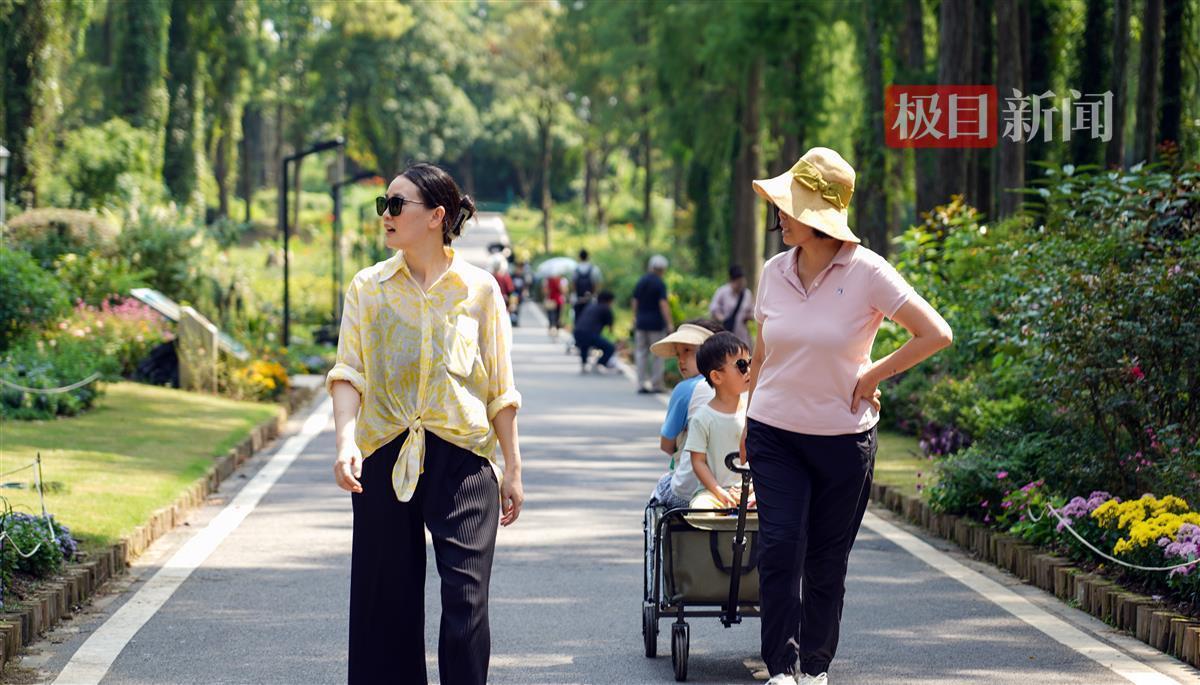 存50送58以小博大